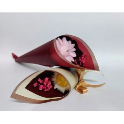 Single Daisy Bouquet (Assorted Color)