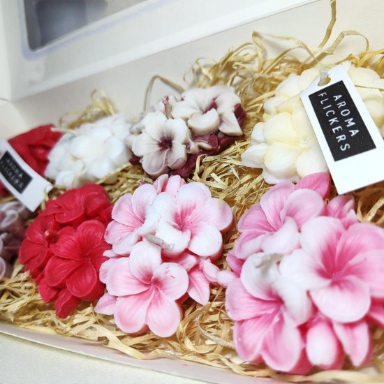 Plumeria Bliss: Frangipani Scented Candle in a Jar