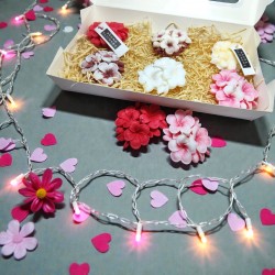 Plumeria Bliss: Frangipani Scented Candle in a Jar